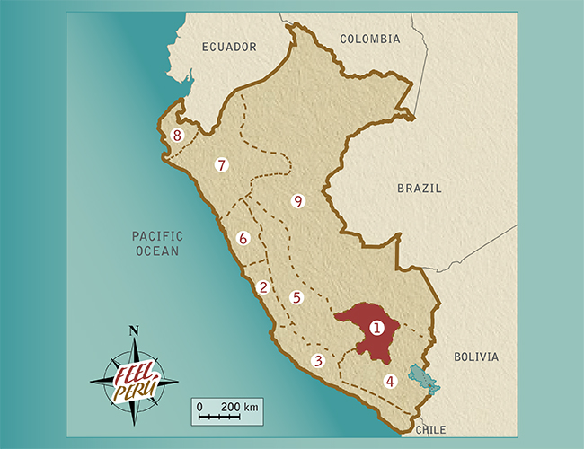 map illustration of peru