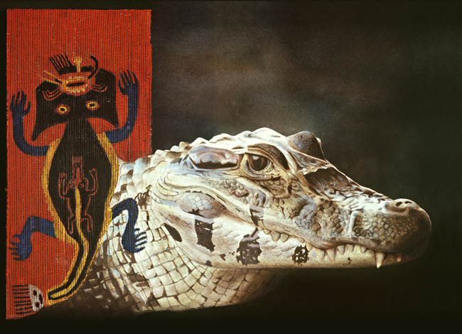 mixed media illustration of caiman and Peruvian Paracas textile
